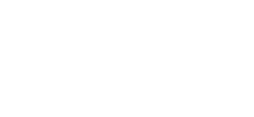 logo_york